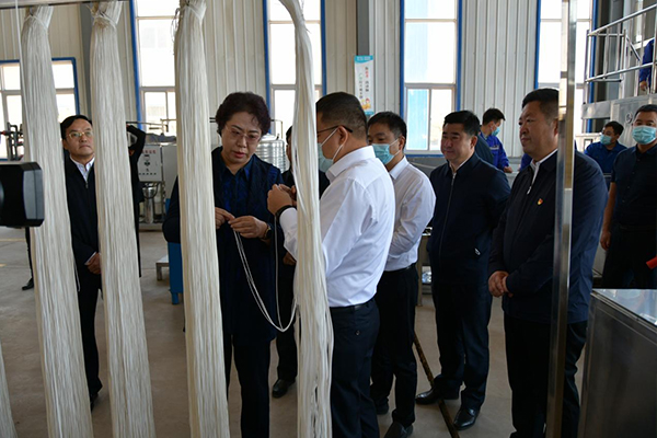 朝陽(yáng)市新任市委書(shū)記張淑萍及調(diào)研組領(lǐng)導(dǎo)蒞臨一諾環(huán)保產(chǎn)業(yè)園考察調(diào)研工作